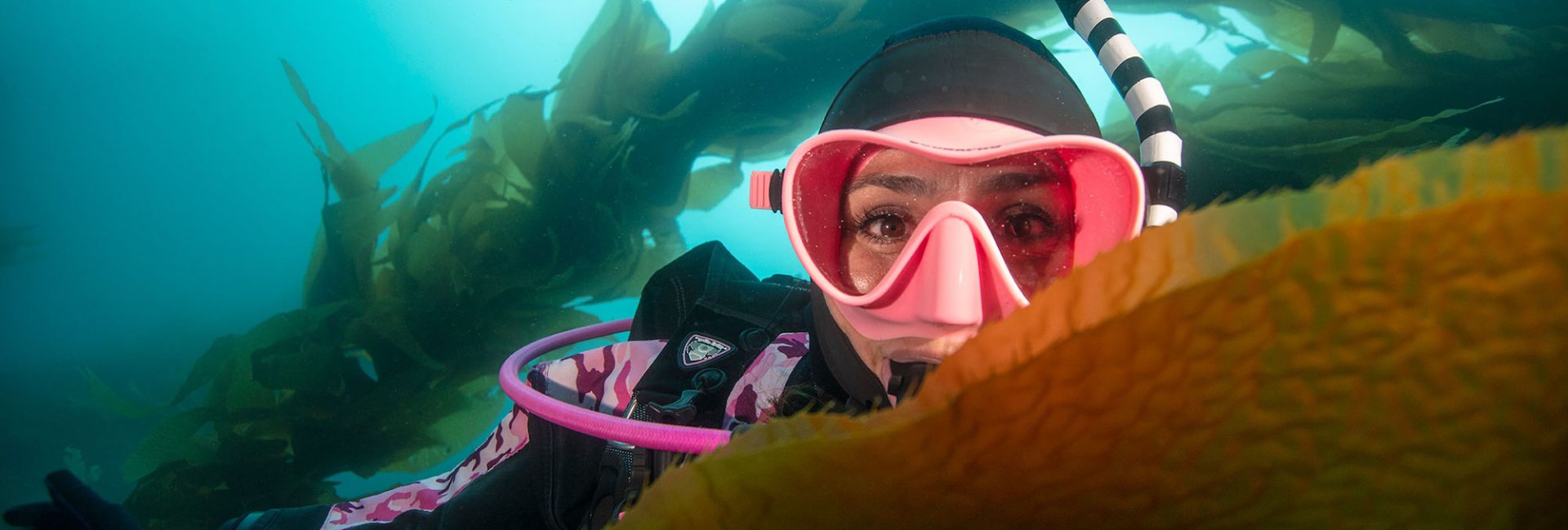 Bucea en los Estados Unidos – Los mejores sitios de buceo en los 4 mejores estados para sumergirse