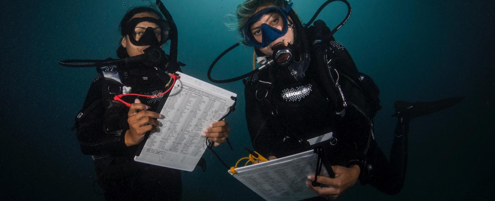Inspiring Journey to Becoming a PADI Divemaster in the Solomon Islands