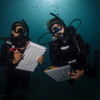 Lupa Anning - Solomon Islands - PADI Divemaster