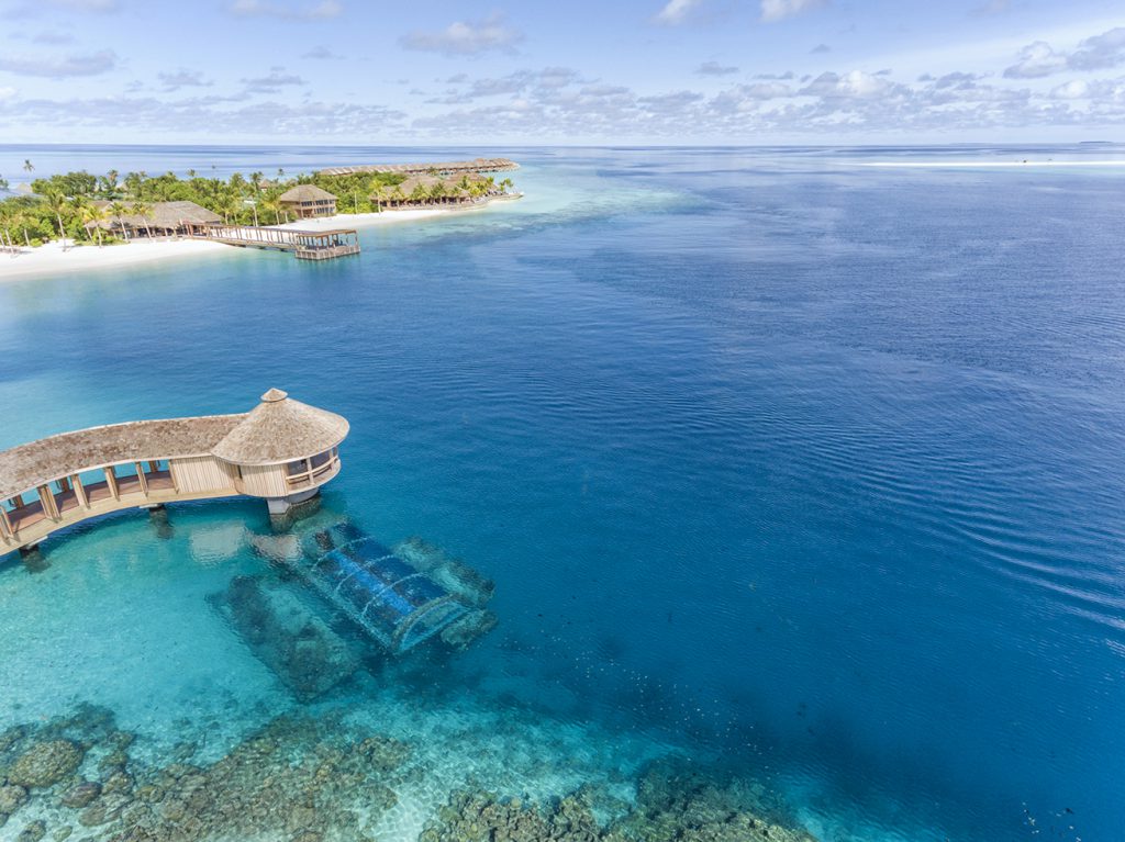 Coral garden aerial