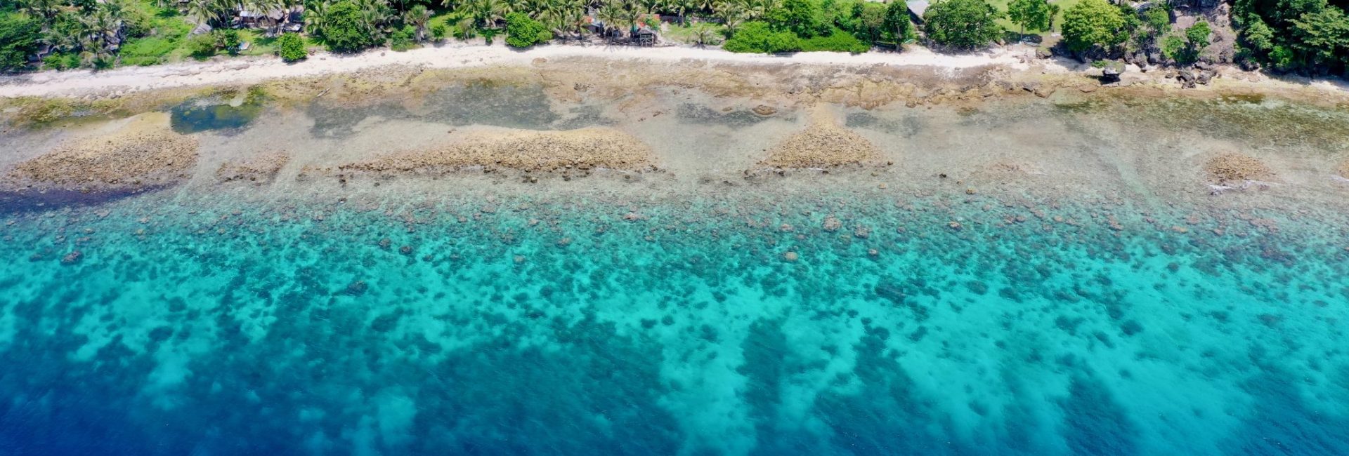 Marine Conservation Philippines Helps Locals Protect Their Reefs