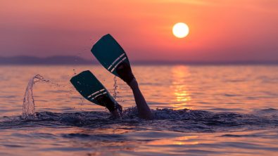 Fins up!