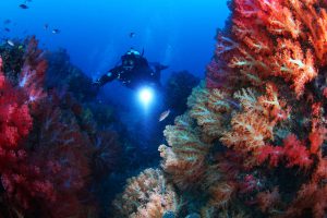 cold-diving