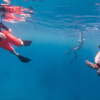 MUI Junior Marine Biologist Program