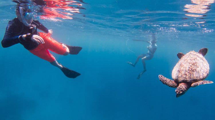 MUI Junior Marine Biologist Program