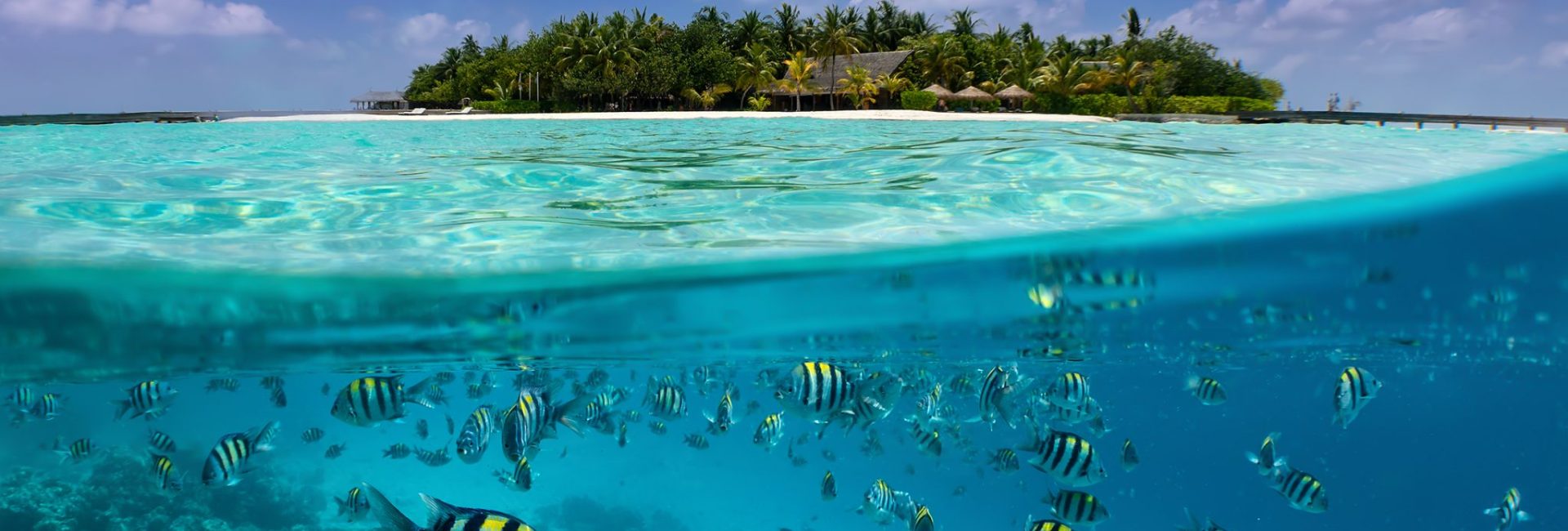 3 Reasons to Learn to Dive in the Maldives