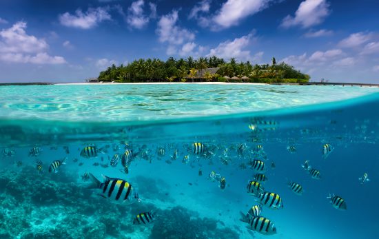 Reasons to learn to dive in the Maldives