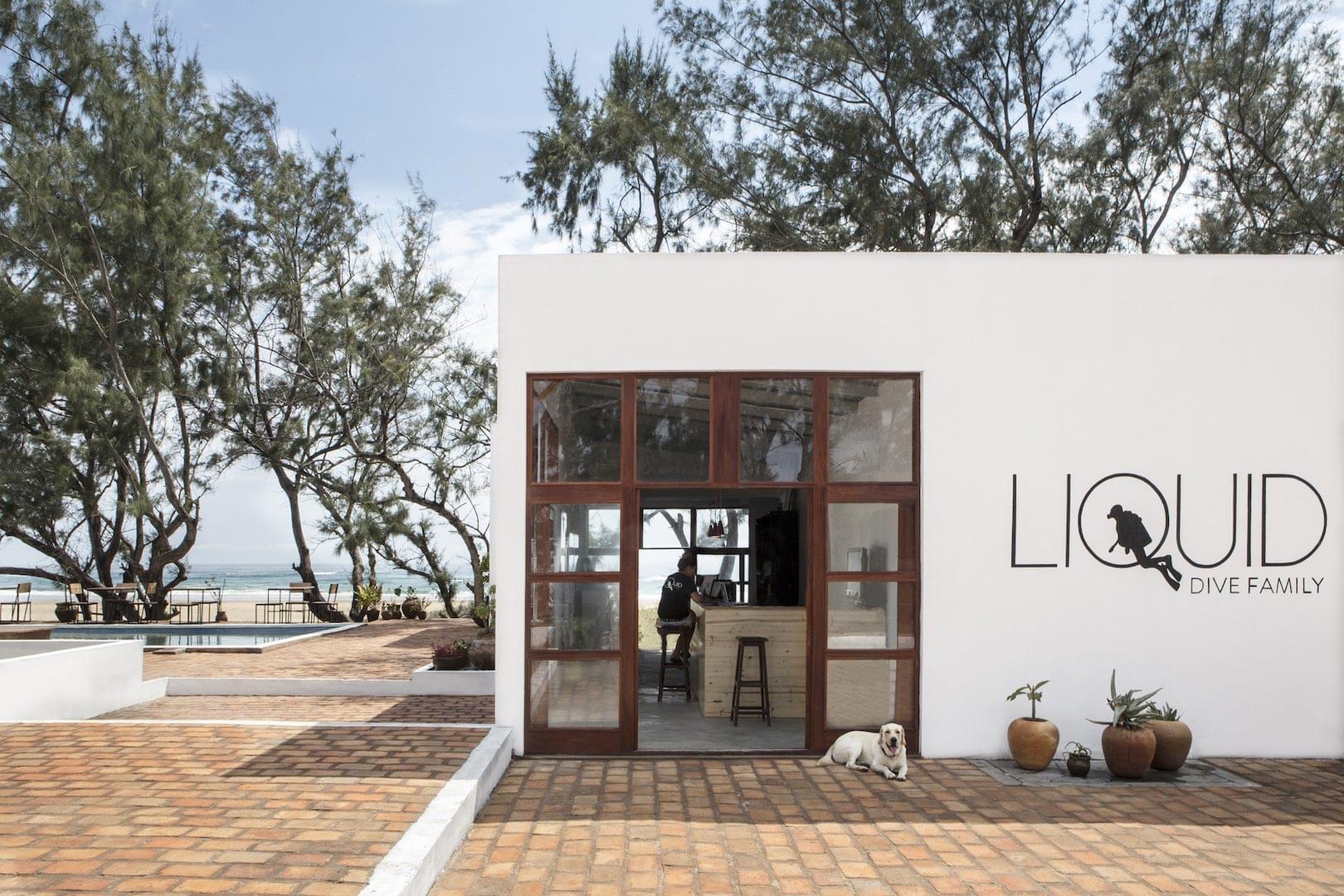 a divemaster sits at a desk inside the liquid dive adventures shop with a dog just outside the doorway. liquid dive adventures is one of the most eco-friendly resorts in the world.