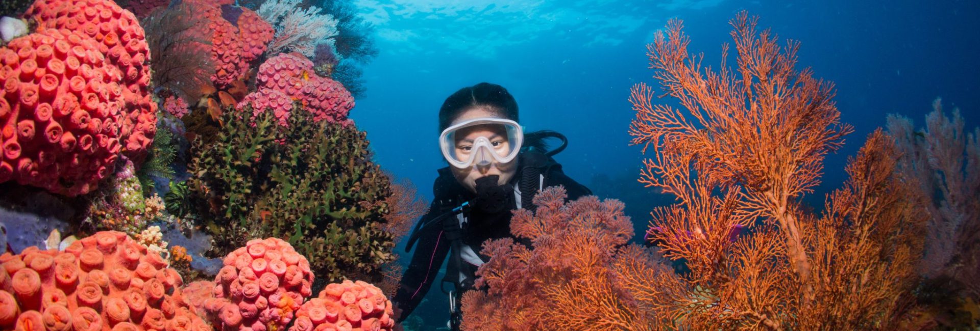 The Top 10 Scuba Diving Destinations in February