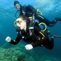 Help your friends to dive!