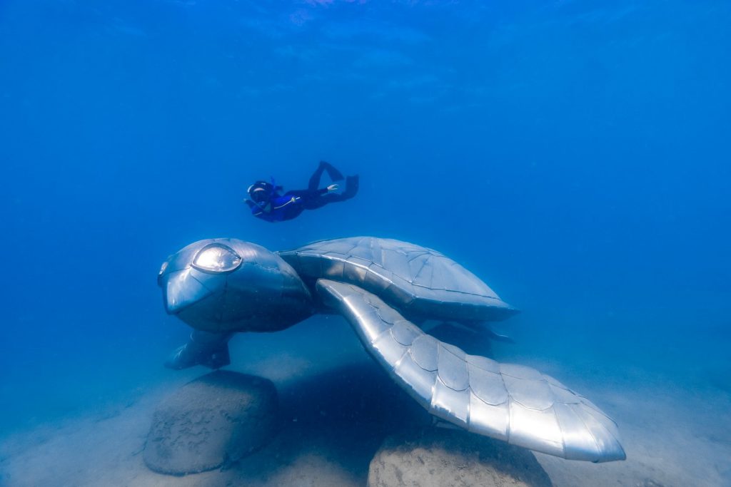 Whitsunday - Ngaro - Underwater Marine Sculpture Trail
