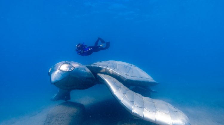 Whitsunday - Ngaro - Underwater Marine Sculpture Trail