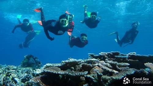 Melanesia - PADI Open Water Diver - Scuba Diver - Papua New Guinea