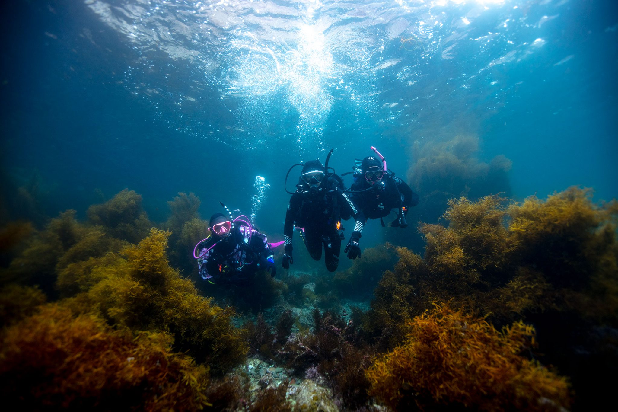 How To Become a Master Scuba Diver - Underseas Scuba Center Blog