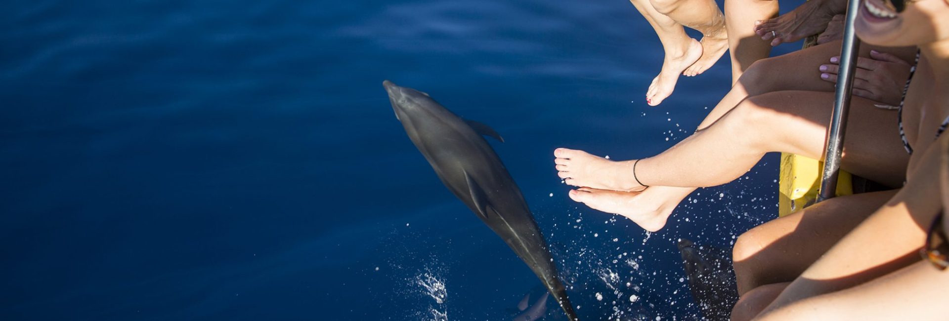 Why Experiences Are the Best Gifts This Year