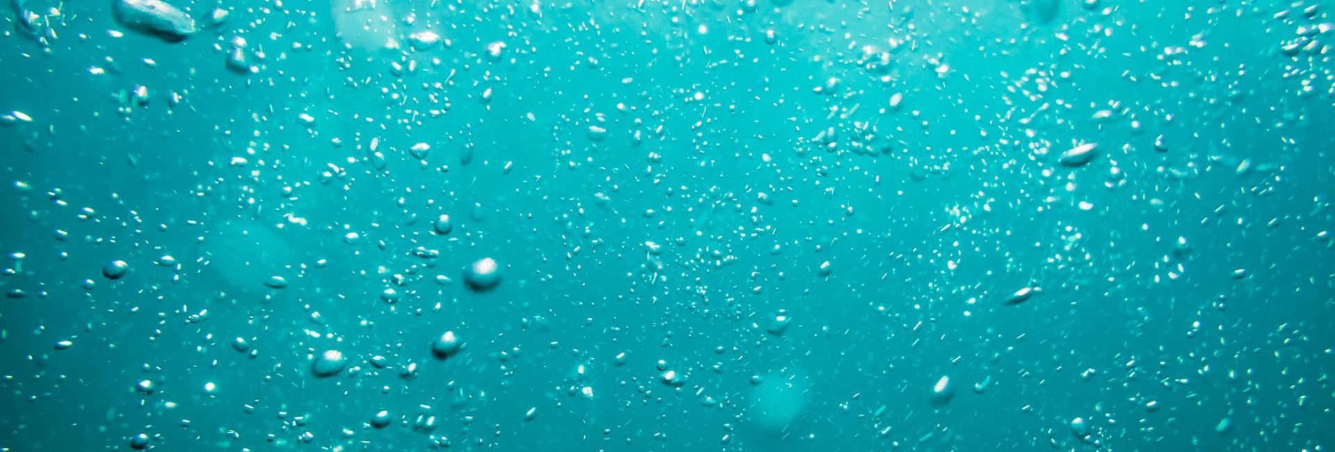 Five Free Mobile Apps for Pre-Dive Wellness
