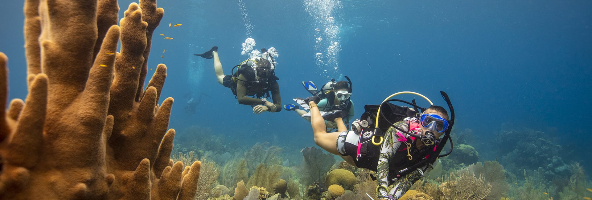 6 Inexpensive Items That Make Diving More Comfortable