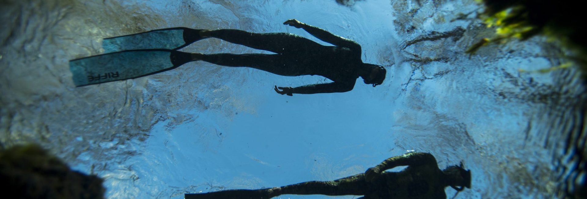 Adithya Srinivasan: India’s Youngest Basic Freediver