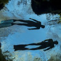 Freedivers - PADI Freediver