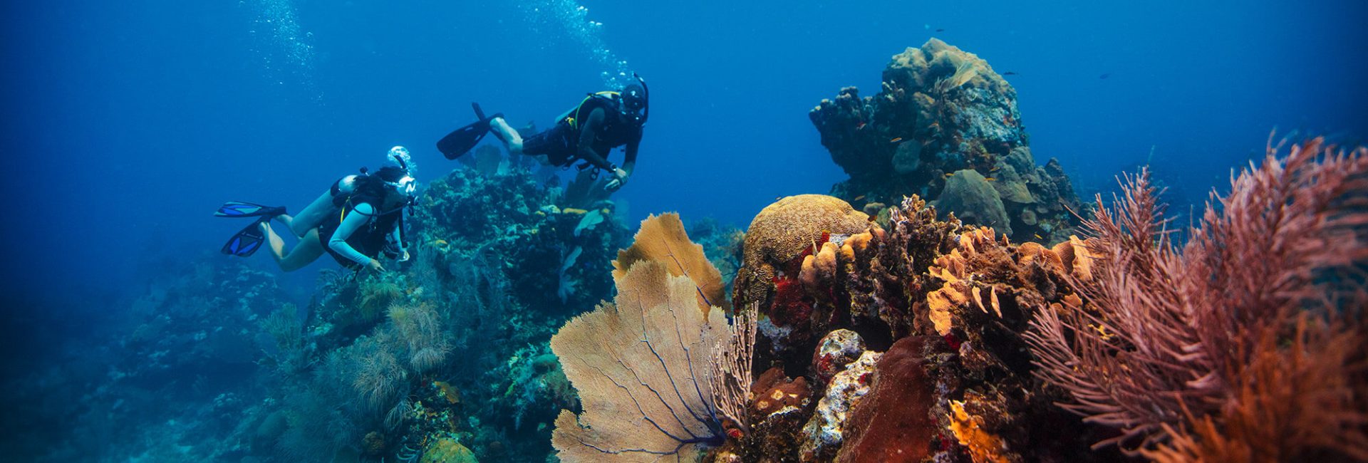 Seek Adventure. Save the Ocean.
