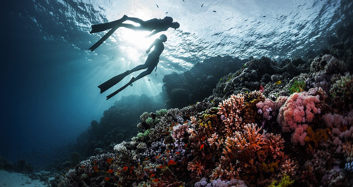 The World Is Your Oyster: Lessons in Stillness From Beneath the Surface