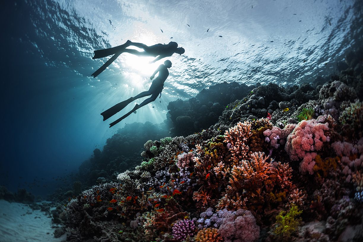 5 Deep Pools for PADI Scuba Diving and Freediving Training