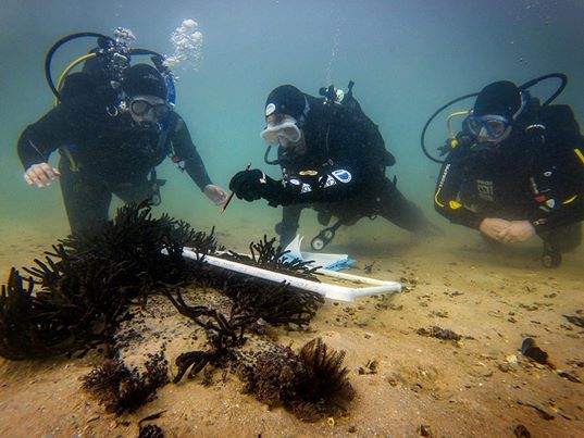 Three marine biologist scuba divers collecting data underwater