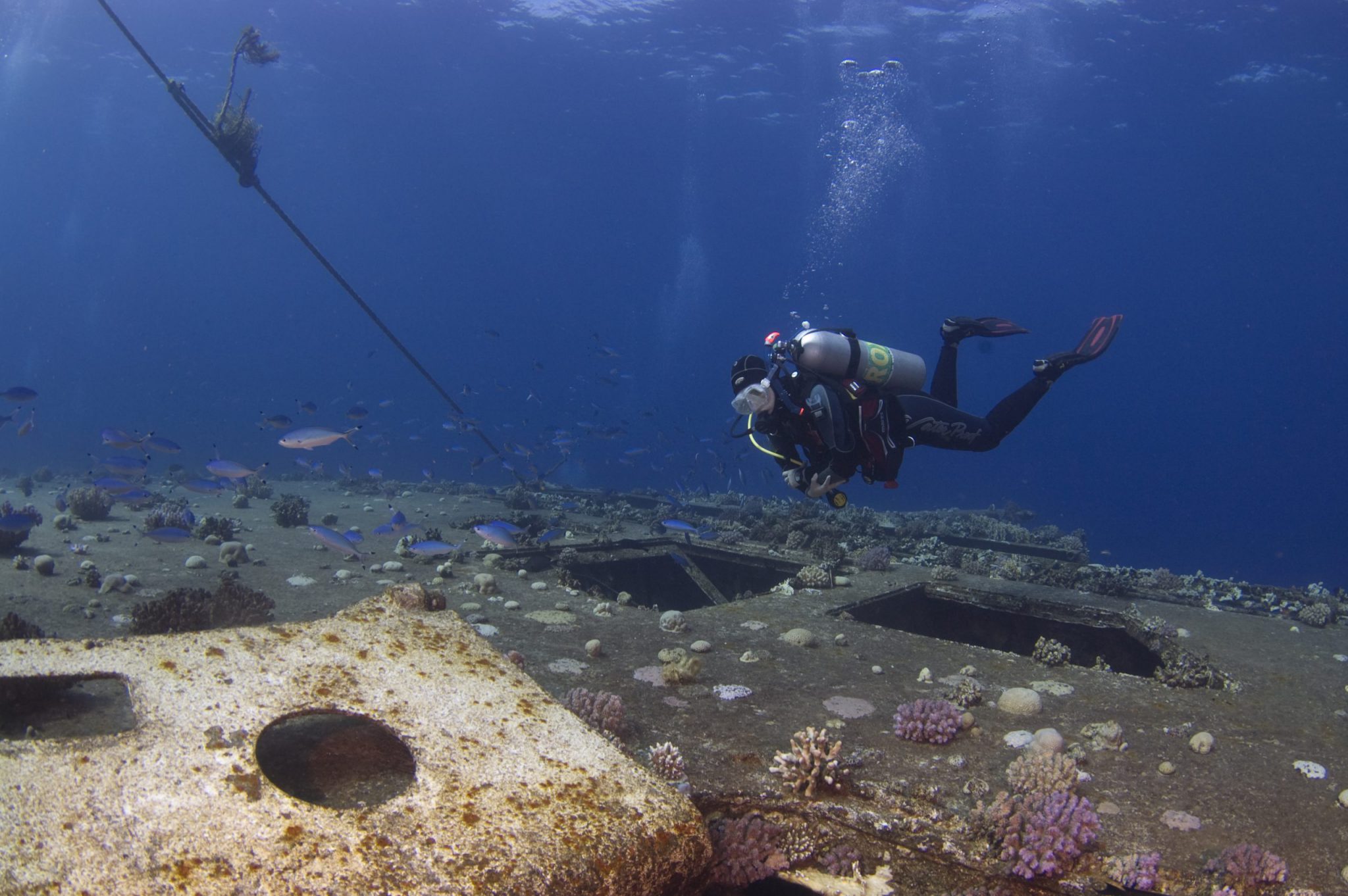 PADI Wreck Diver - Bahamas - Shipwreck
