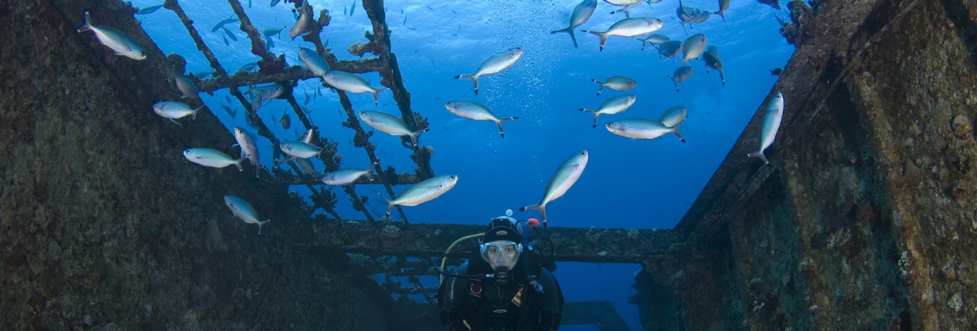 Dive Colombo’s Wrecks in Sri Lanka – Part 1