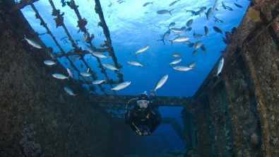 Shipwreck - PADI Diver - Scuba Diving - Wreck Diver