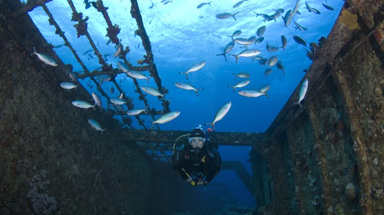 Shipwreck - PADI Diver - Scuba Diving - Wreck Diver