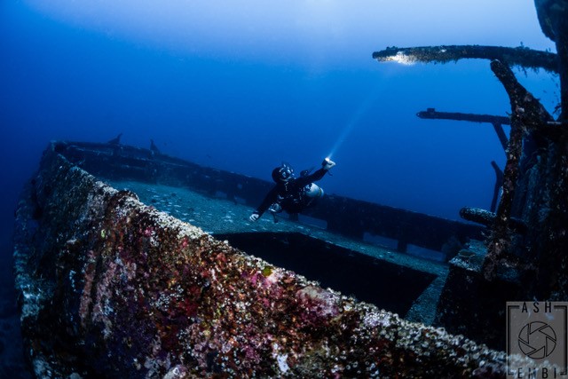 Shark Point - Wreck Dive