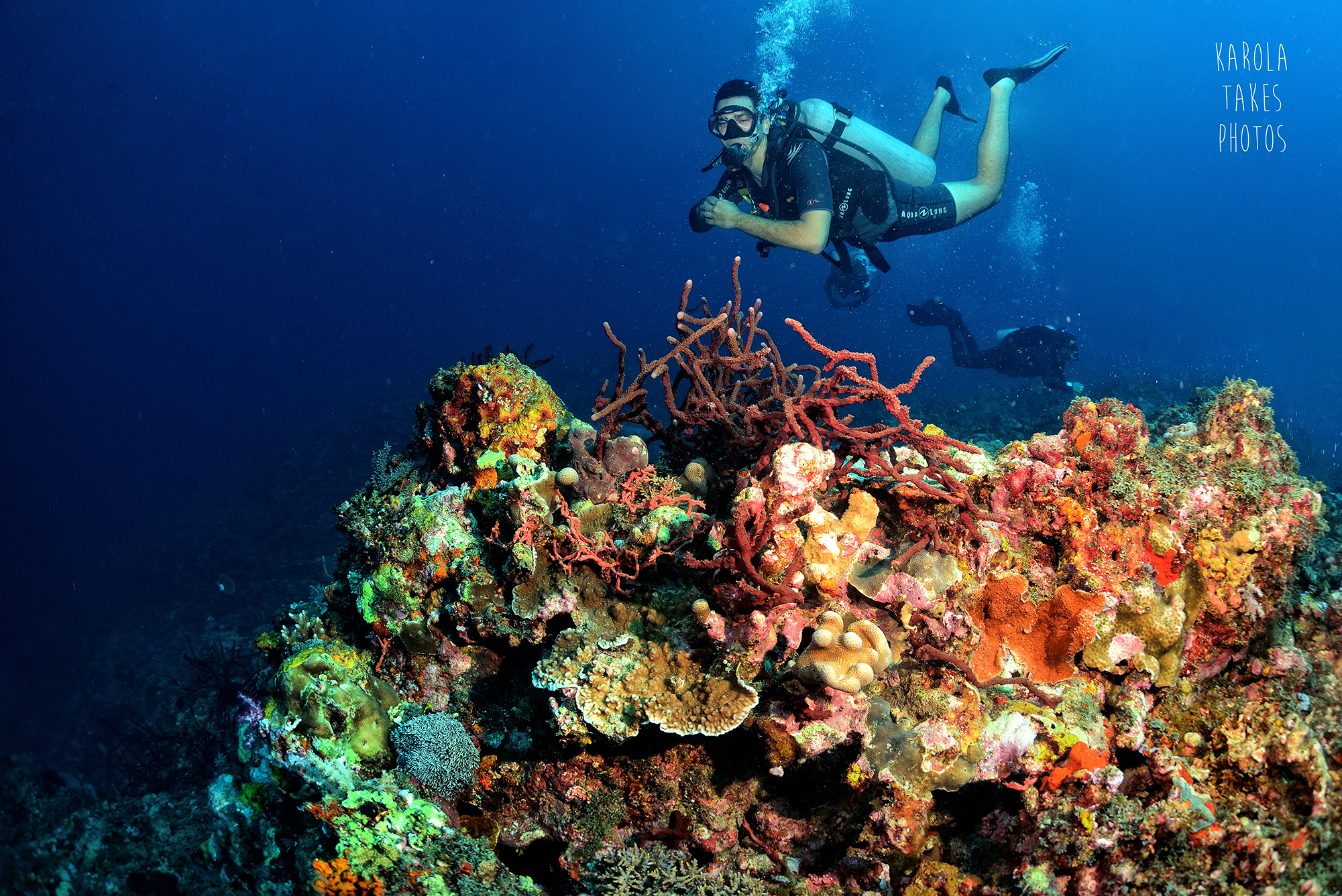 Simons Reef - Gili Islands - Indonesia