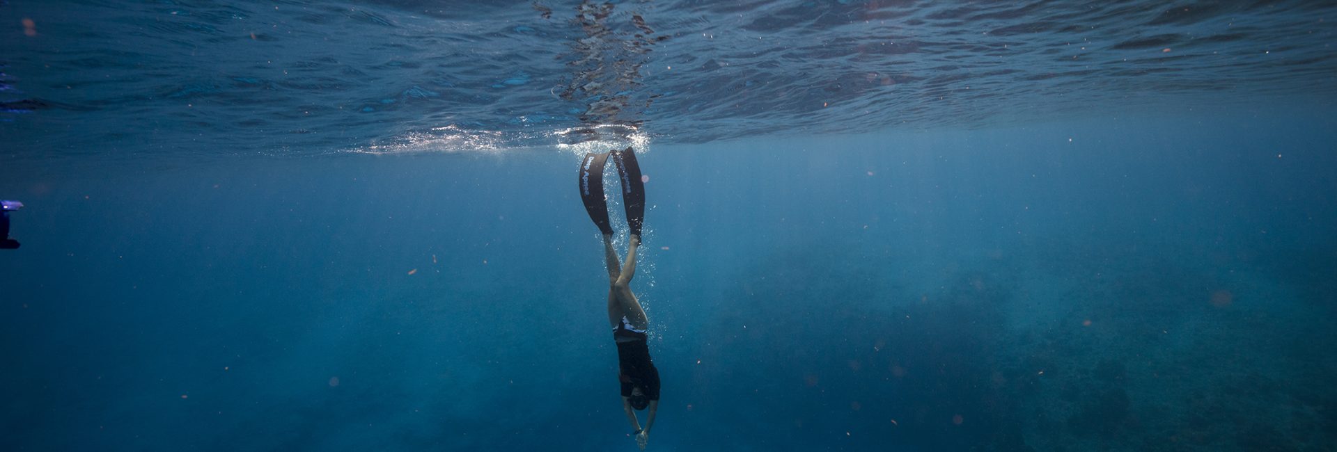 5 Inspirational Freediving Highlights Around the World in 2019