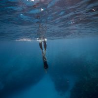 Freediving highlights