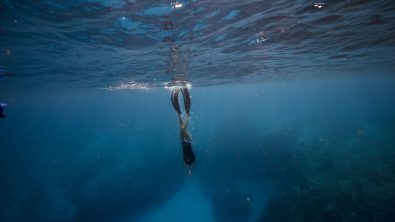 Freediving highlights