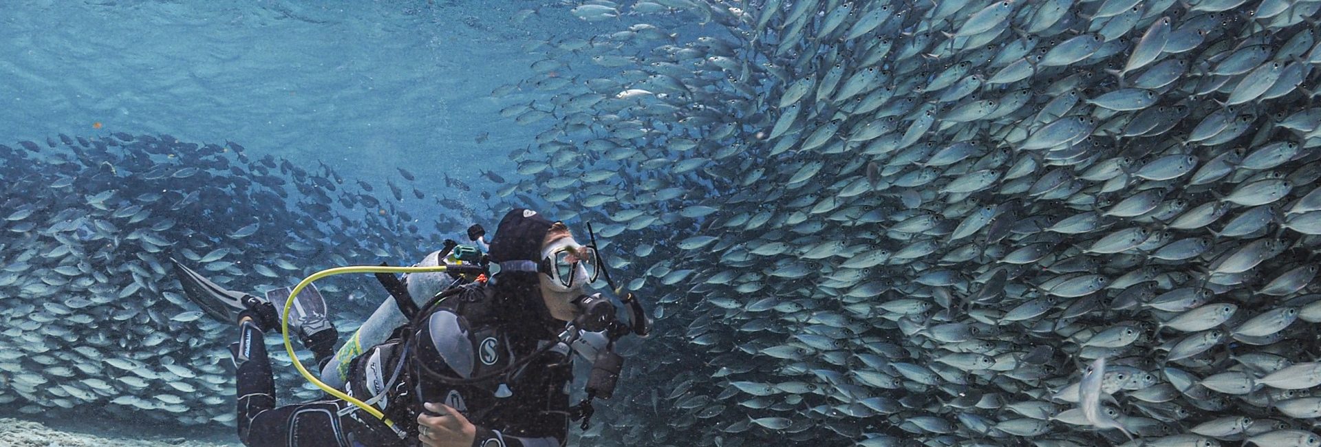 Mindful Diving in Bonaire