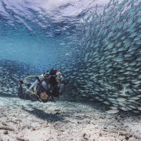 MindfulDiverBonaire_PhotoBySeaHale