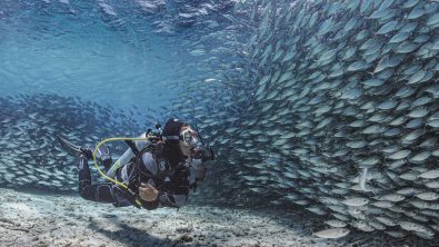 MindfulDiverBonaire_PhotoBySeaHale
