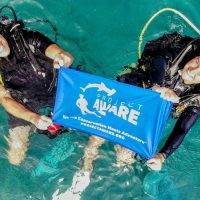 ProjectAWARE