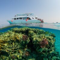 unfiltered diving is good for your health