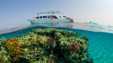 unfiltered diving is good for your health