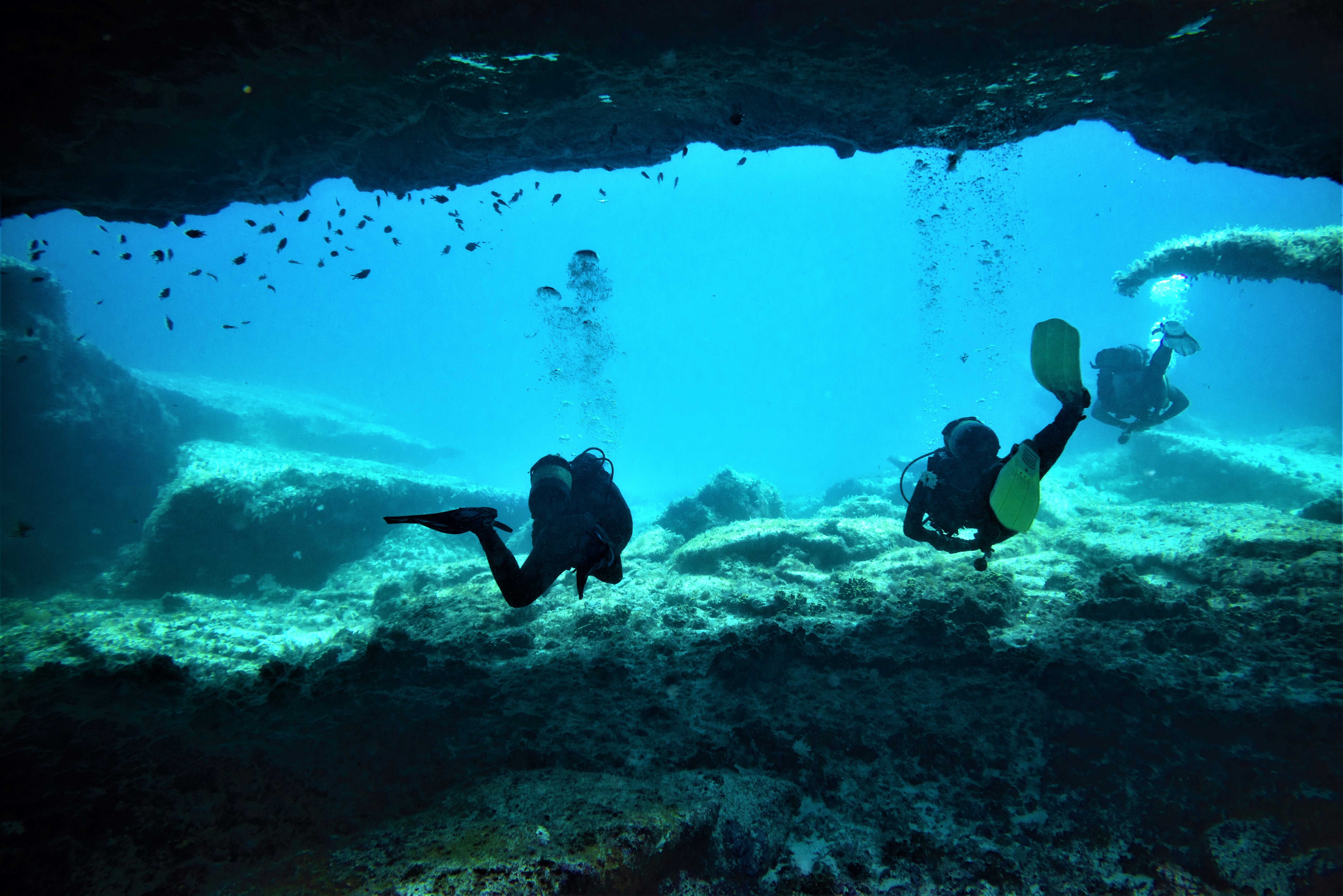 Canary Islands - Underwater - Scuba Diving