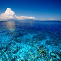 2020 dive resolutions