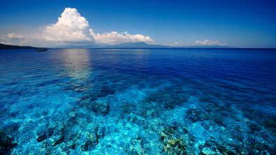 2020 dive resolutions