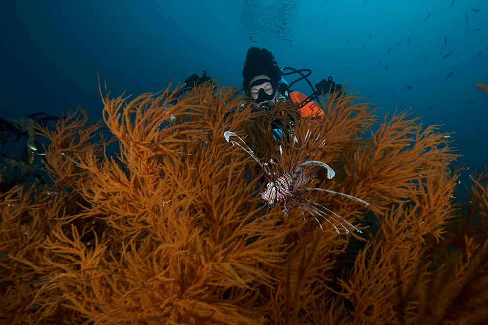 Coron-Wreck Dive - Shipwreck-Scuba Diver