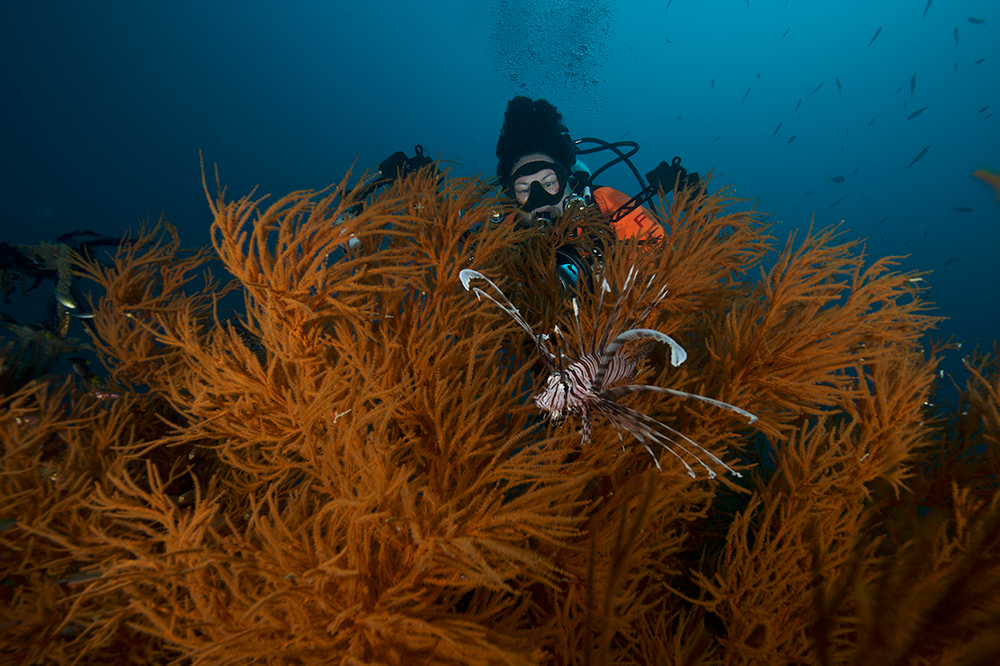 Coron - Wreck Dive - Shipwreck - Scuba Diver