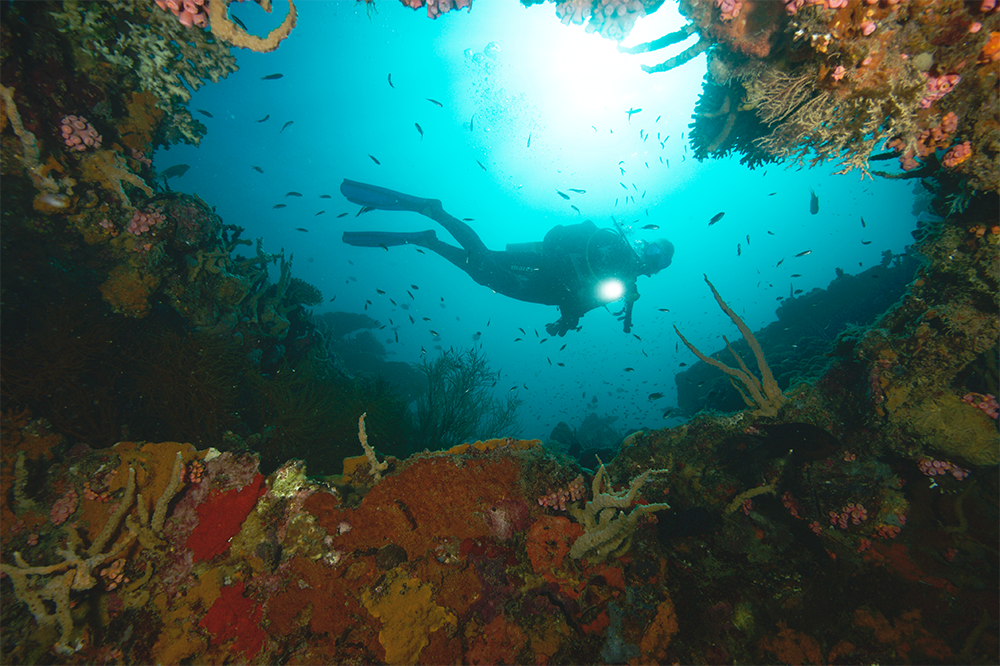 Coron - Wreck Dive - Shipwreck - Scuba Diver