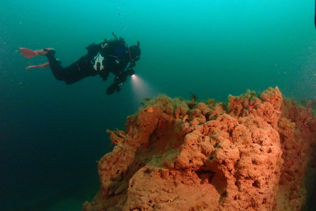 Diving La Jolla Shores with PADI AmbassaDiver Rocio Bunker