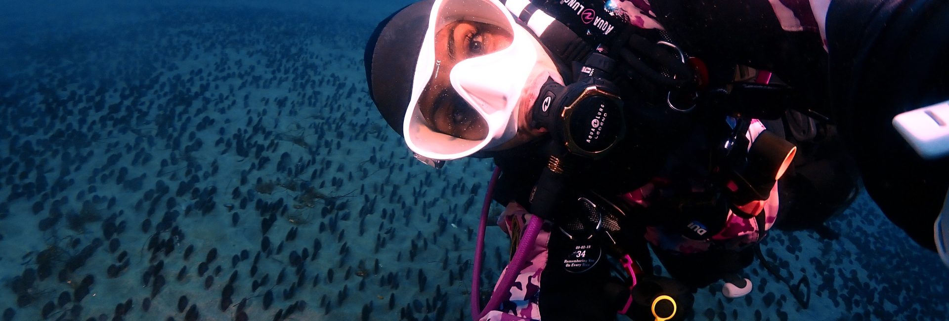Diving La Jolla Shores with PADI AmbassaDiver Rocio Bunker